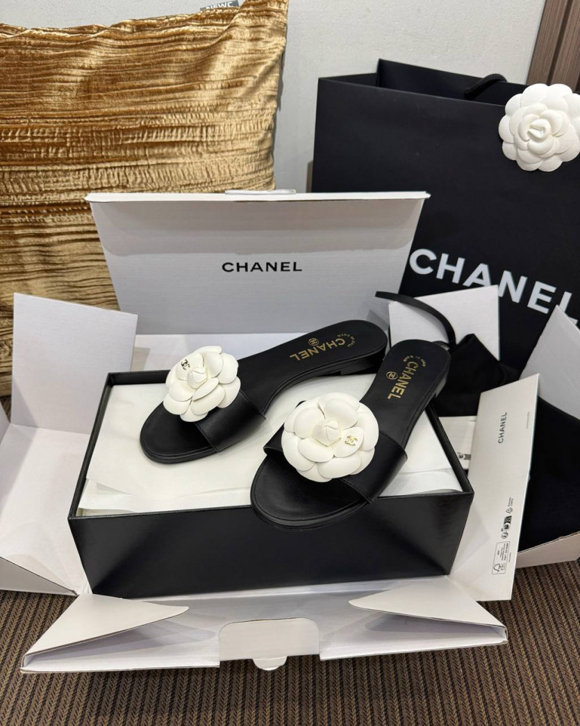 6c71d5322d34669c6e3f6e1b949d3253_1785492658_5327.jpeg