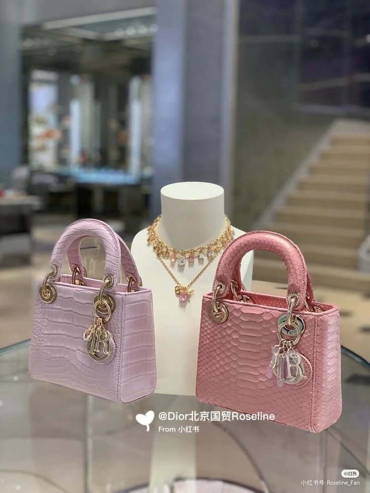 디올 레이디 디올백  디조이백 2type